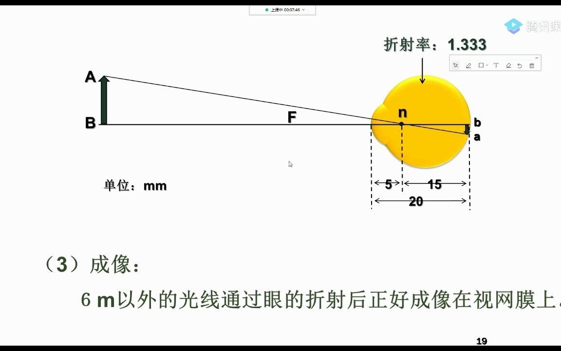 【三层次】感觉器官视觉哔哩哔哩bilibili