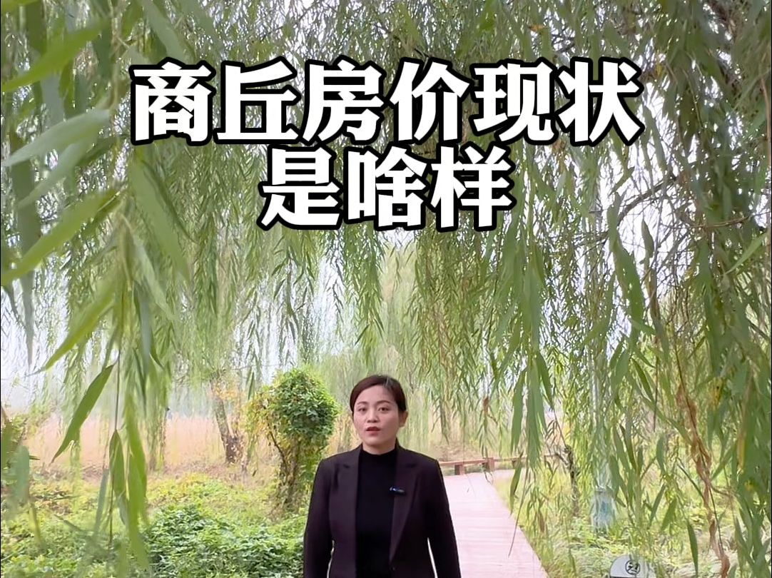 商丘房价现状是啥样哔哩哔哩bilibili