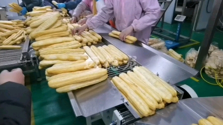 油条包装机 速冻半成品油条生胚无托油条枕包机自动打包机套膜机裹膜