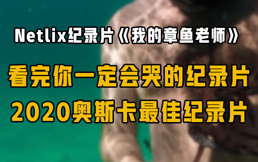 《我的章鱼老师》年度治愈高分纪录片 看哭无数人的奥斯卡最佳纪录片!哔哩哔哩bilibili