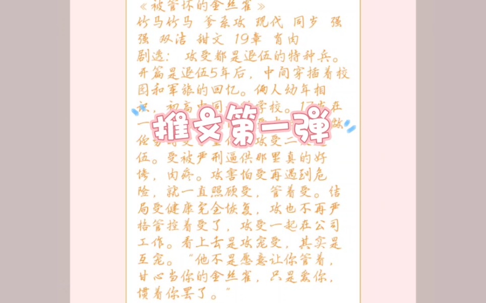 【推文】有肉有剧情哔哩哔哩bilibili