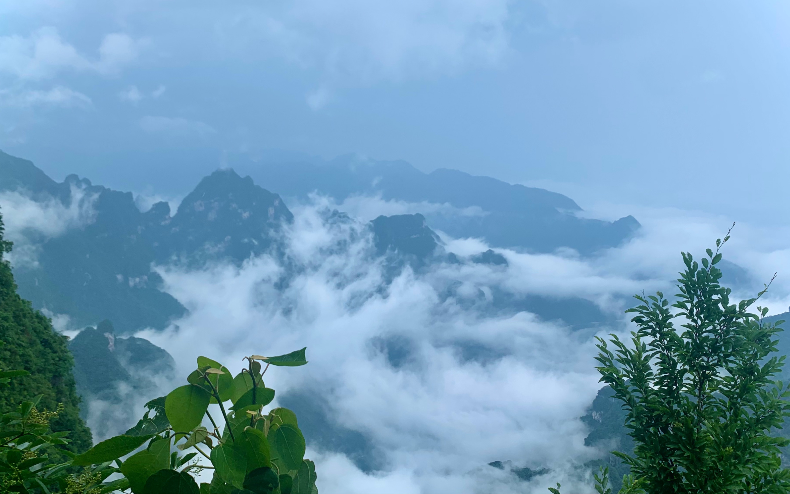 雨后云海中的张家界天门山绝美