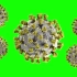 绿幕视频分享   4K新冠病毒3D模型分享