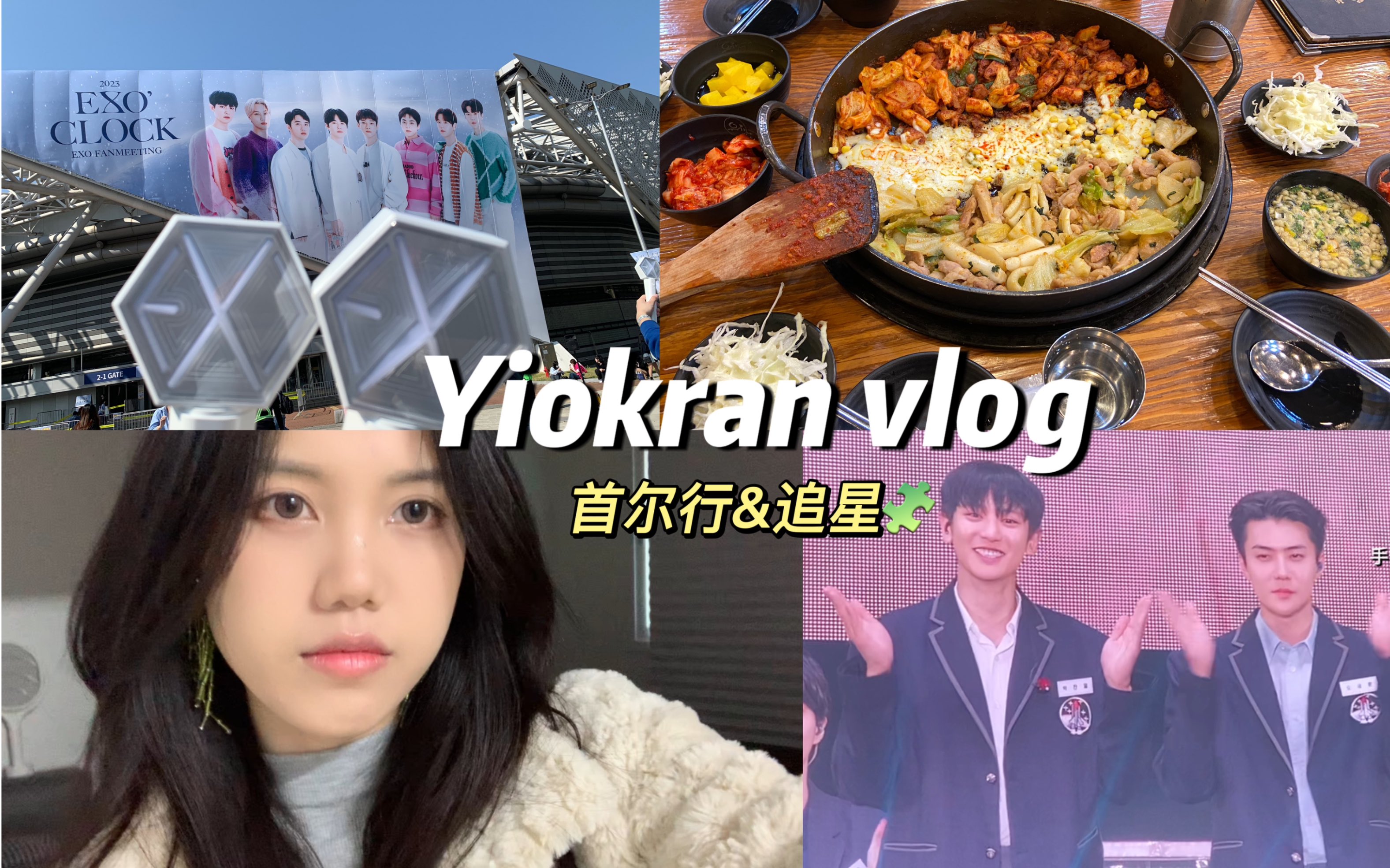 Yiokran小懒|五天六夜首尔旅游vlog|见exo的追星日常|旅行记录哔哩哔哩bilibili