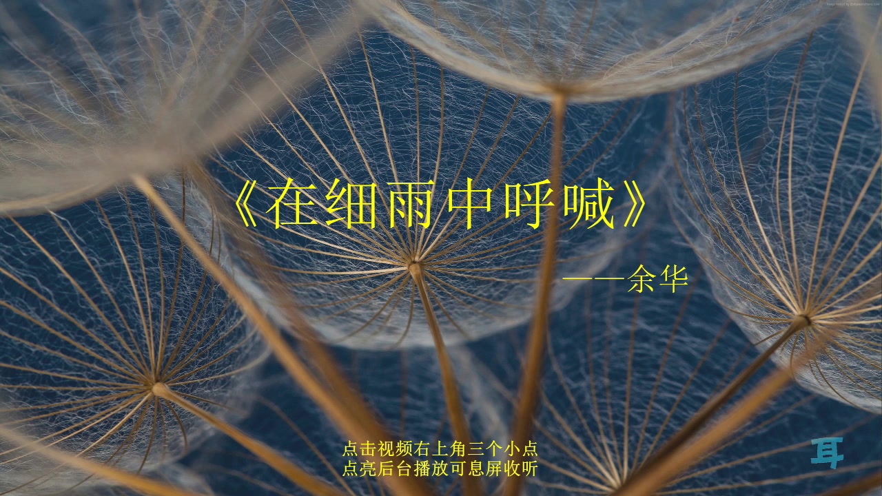 【有声书】《在细雨中呼喊》余华