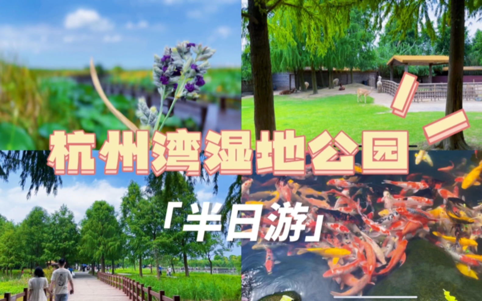 【宁波—周边游】杭州湾湿地公园,适合周末游/亲子游.但!特地跑一趟来玩其实没必要!哔哩哔哩bilibili