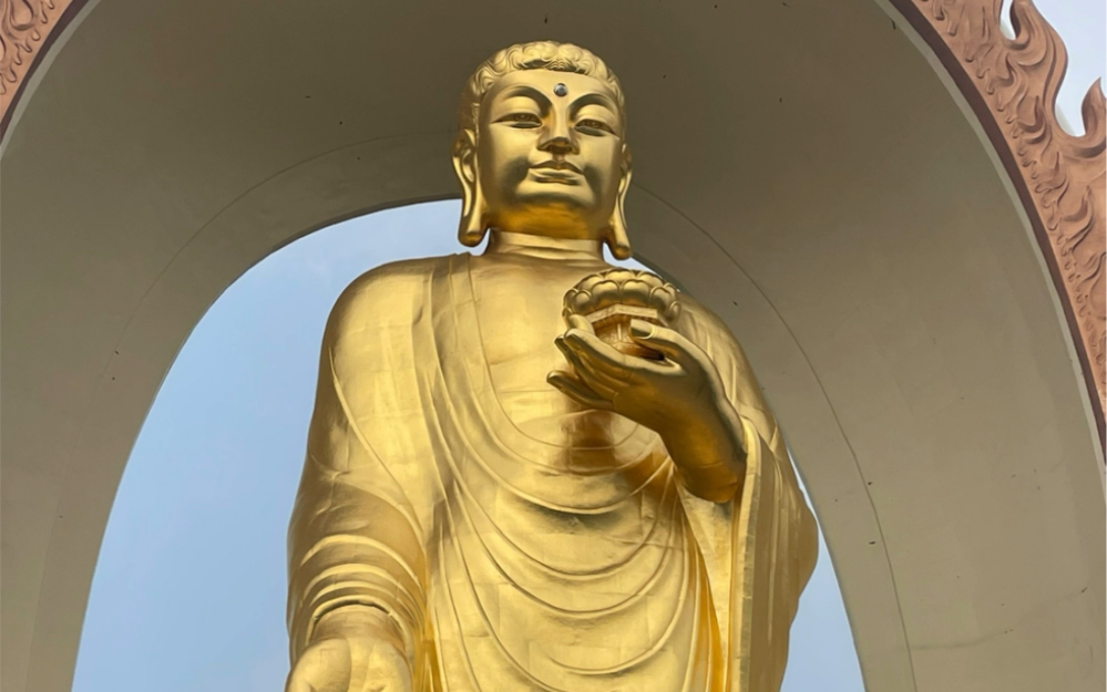 东林大佛骑行一日游