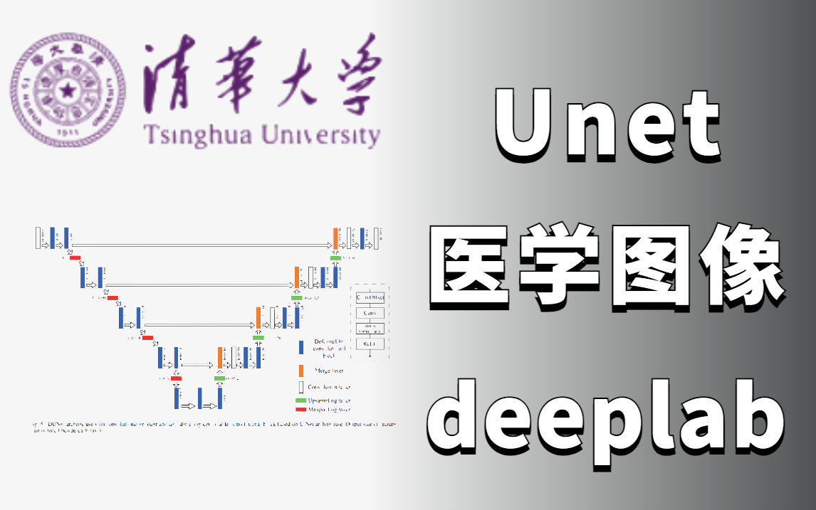 [图]清华大佬肝了八小时录制的【unet图像分割从原理到代码】草履虫都能学会的（深度学习图像分割/医学图像/深度学习实战/人工智能）