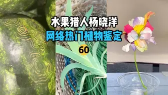 Download Video: 【水果猎人】网络热门水果鉴定60