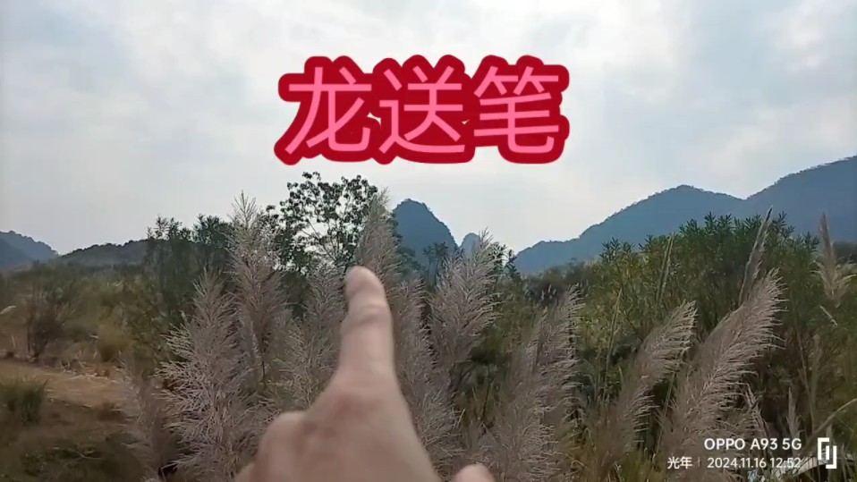 甲山庚向?卯山酉向还是寅山申向好呢?大家看看立什么向好?经验是这样造就出来的.哔哩哔哩bilibili