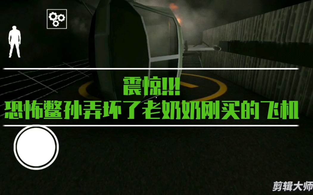 恐怖老奶奶2,震惊,鳖孙把恐怖老奶奶刚买的飞机弄炸了?