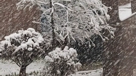 三门峡下雪,三月雪,家乡的雪景太好看了哔哩哔哩bilibili