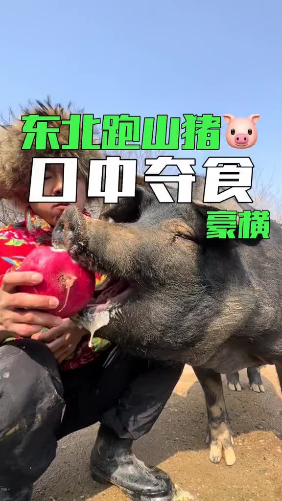 找寻春天里的快乐生活哔哩哔哩bilibili