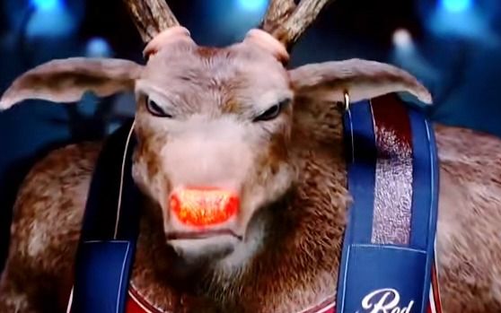 一只爱健身的驯鹿,自律起来到底有多可怕