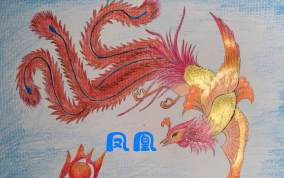 手绘,上色过程,凤凰