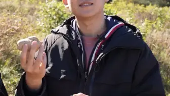 天麻天麻