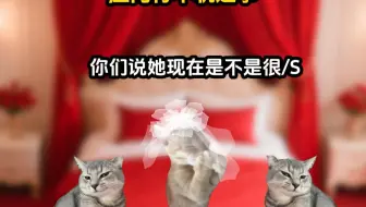《神月婚闹》