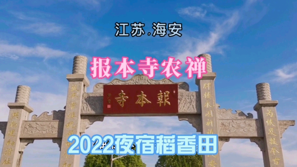 2022夜宿江苏海安稻香田,体验报本寺农禅哔哩哔哩bilibili