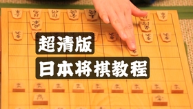 科普向 冷知识 世界上最复杂的棋 大将棋 哔哩哔哩 つロ干杯 Bilibili