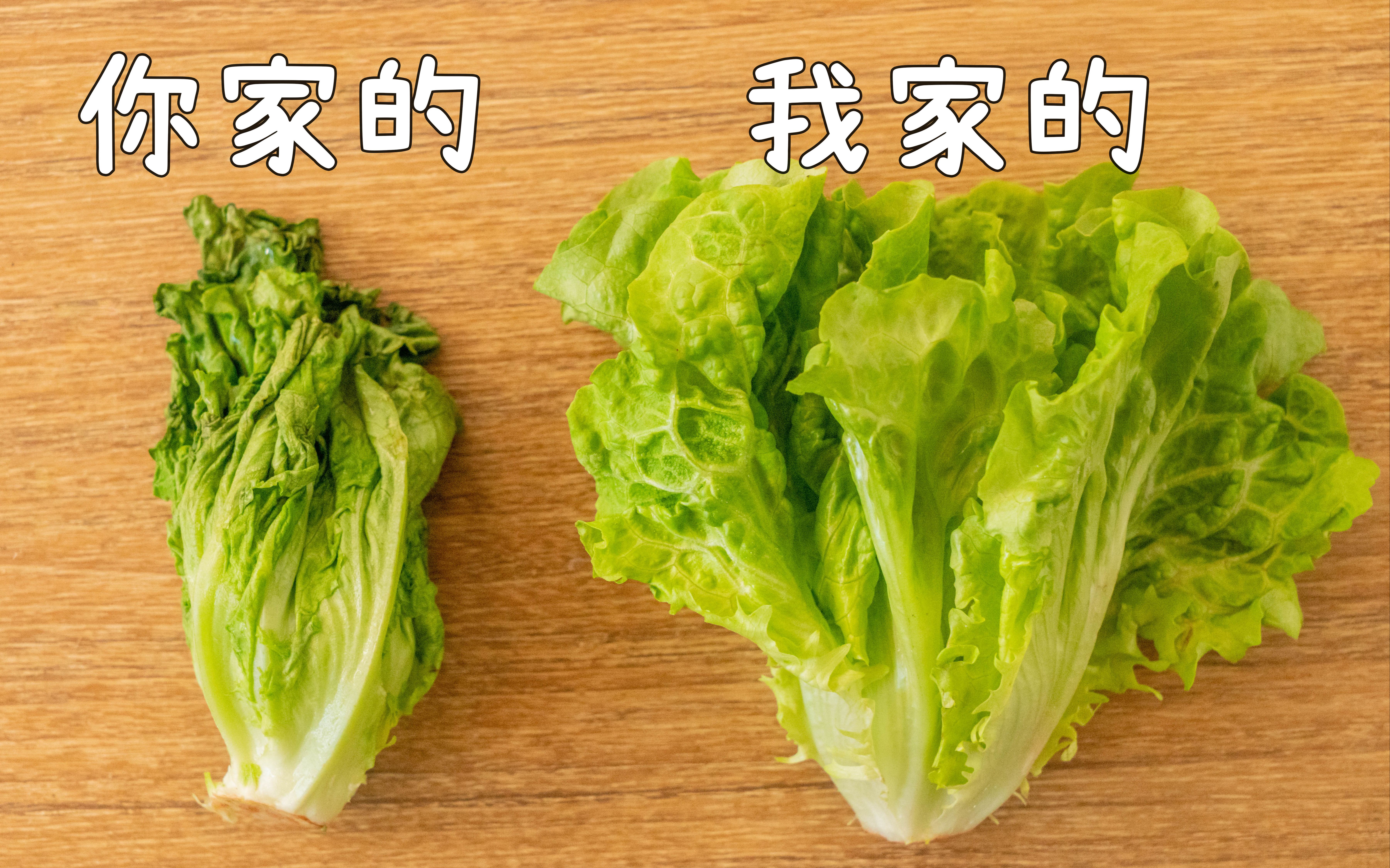 适合独居党/打工人/居家期间的蔬菜保鲜法 | 食材储存方法第二弹