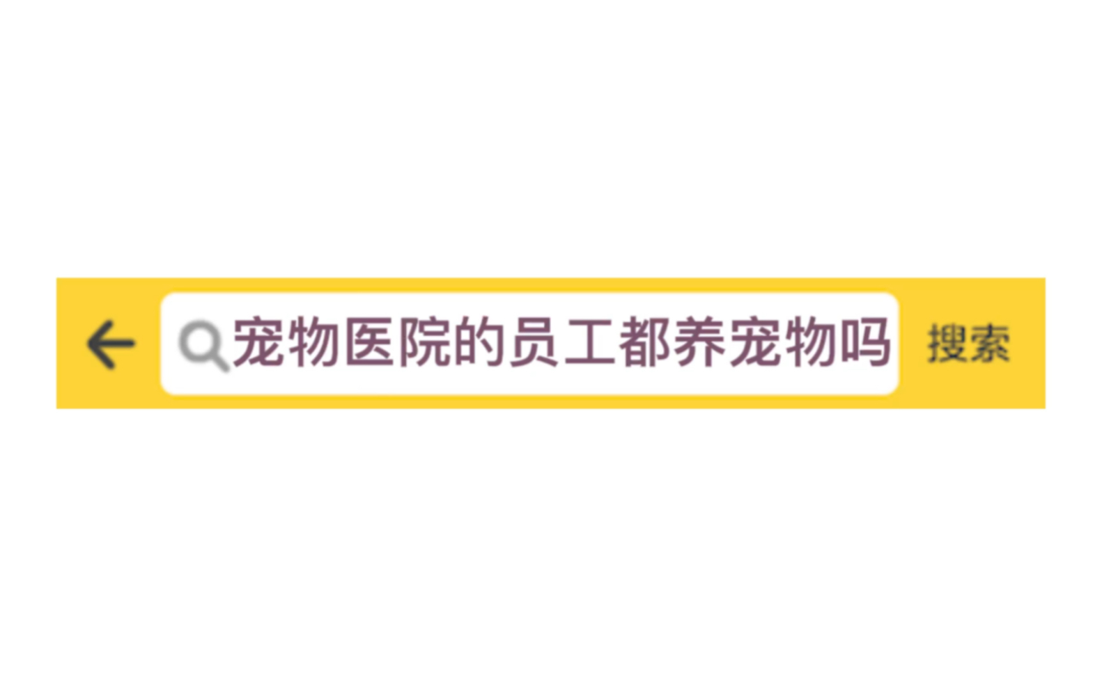 宠物医院的员工都养宠物吗?哔哩哔哩bilibili