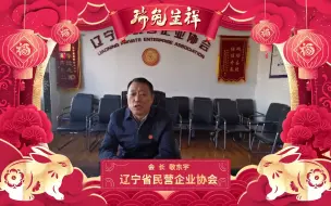 Download Video: 辽宁省民营企业协会新春大拜年