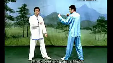 谜踪拳-哔哩哔哩_Bilibili