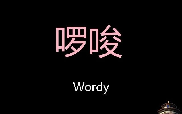 啰唆 Chinese Pronunciation Wordy哔哩哔哩bilibili