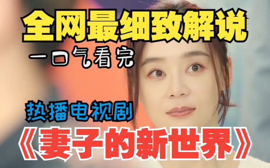 一口气看完国产热播电视剧《妻子的新世界》全集解说