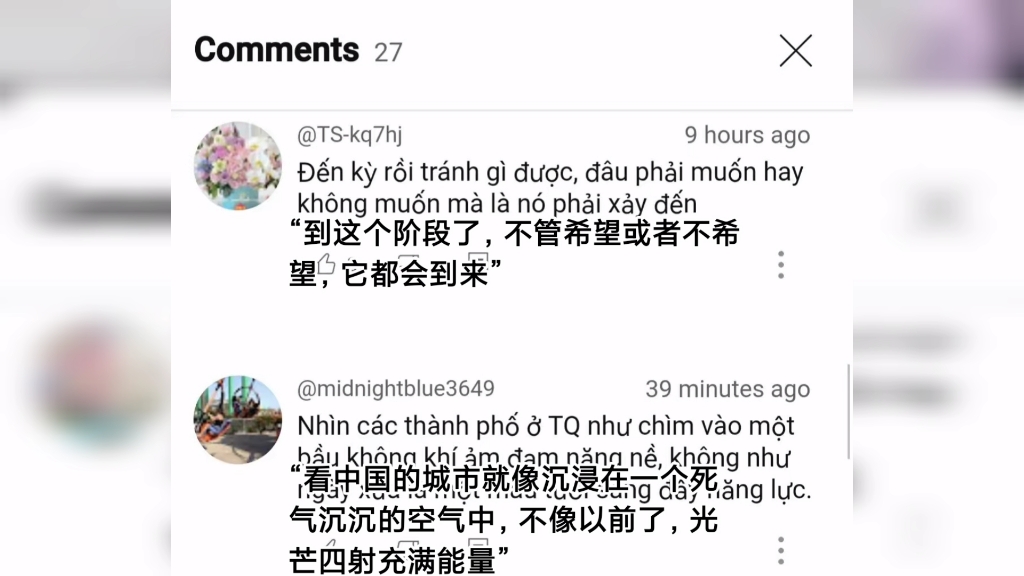 越南网友评论汉族图片