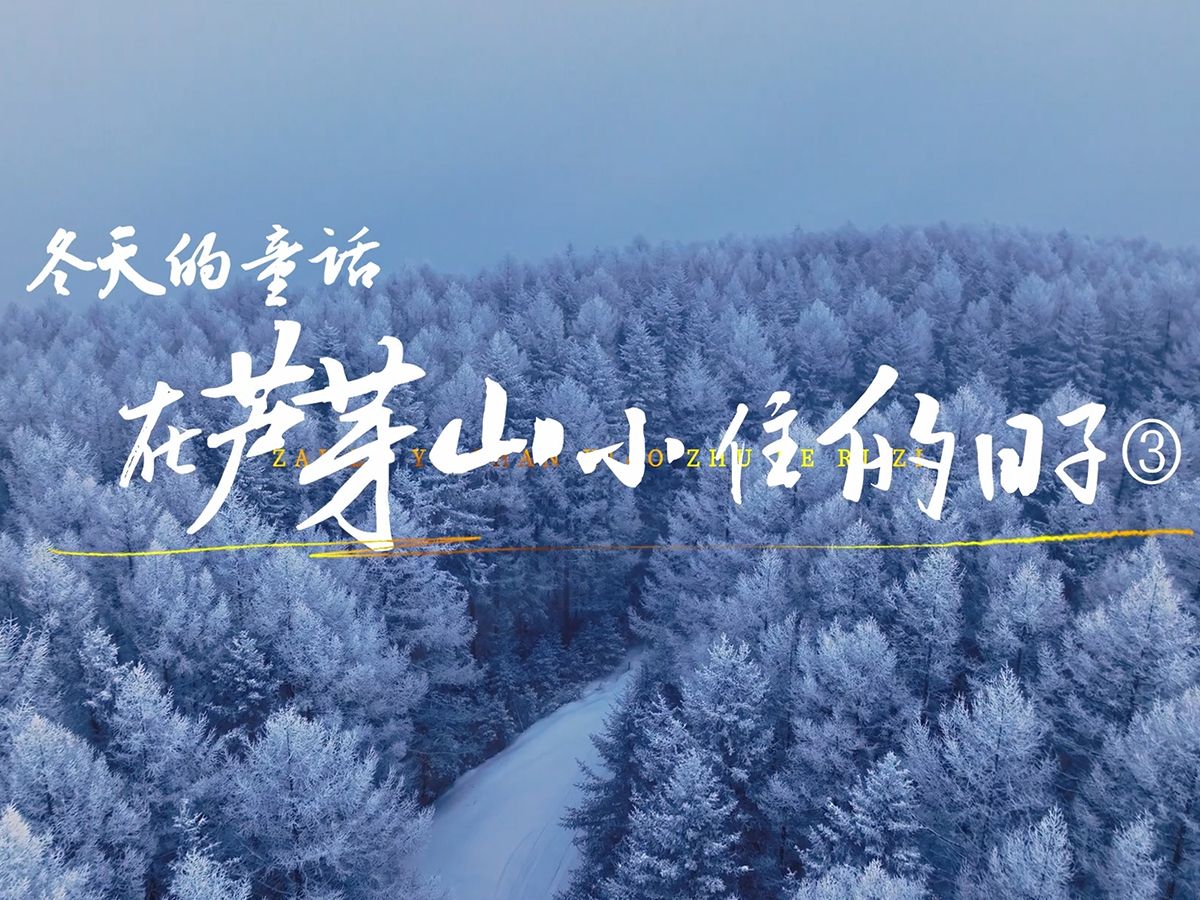 在芦芽山小住的日子|小寒宜雪不宜晴!哔哩哔哩bilibili