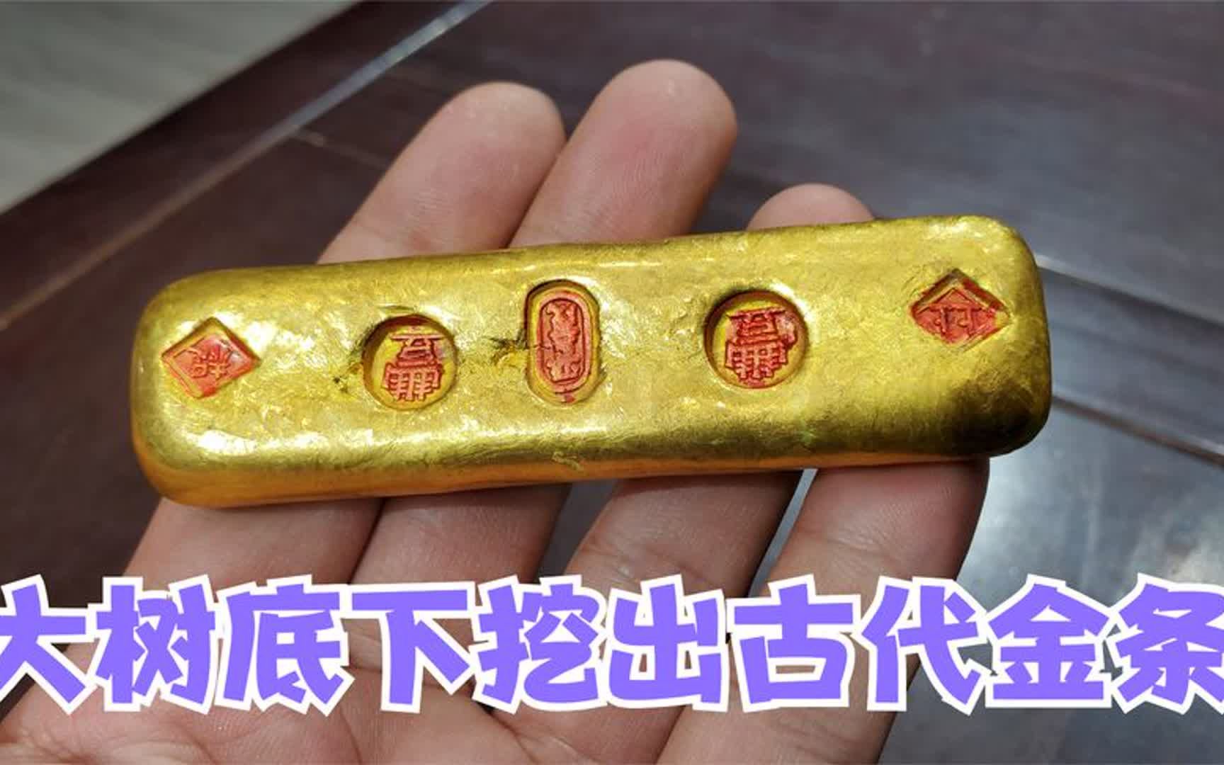 大树底下挖出古代金条!想卖五百万做富翁,小闫鉴宝会是啥结果?