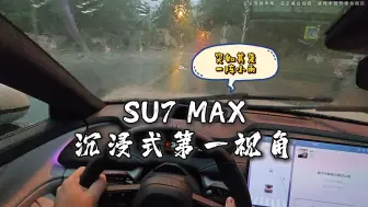 Скачать видео: SU7 MAX雨战第一视角~沉浸式驾驶