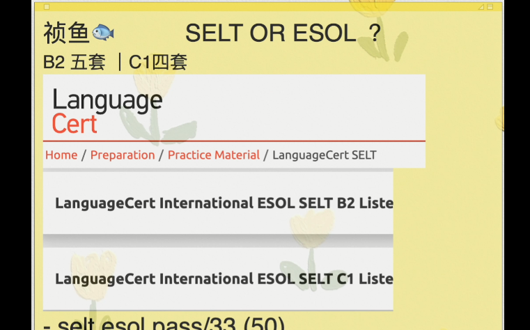 【祯鱼朗思】朗思考试注意事项—SELT&ESOL?哔哩哔哩bilibili