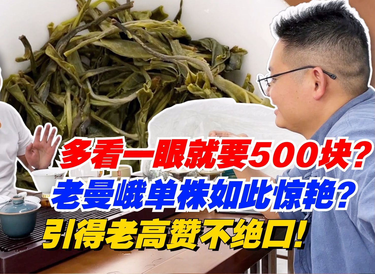 多看一眼就要500块?老曼峨单株如此惊艳?引得老高赞不绝口!哔哩哔哩bilibili