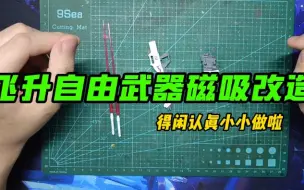 Download Video: 【粤语讲胶】飞升自由武器磁吸改造，得闲认真小小做啦