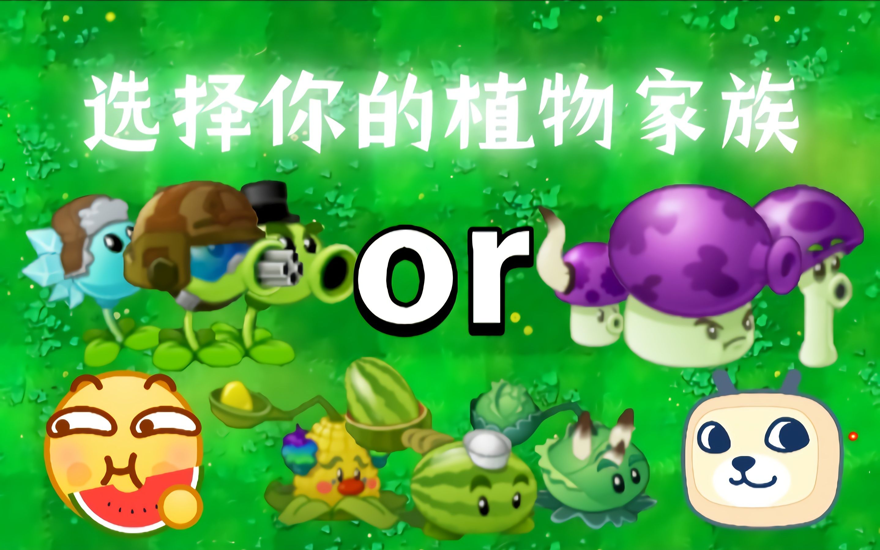 pvz1壁纸图片