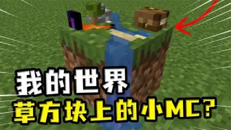 Video herunterladen: 我的世界：草方块上的小MC？房子只有火柴盒大小，像素也不好