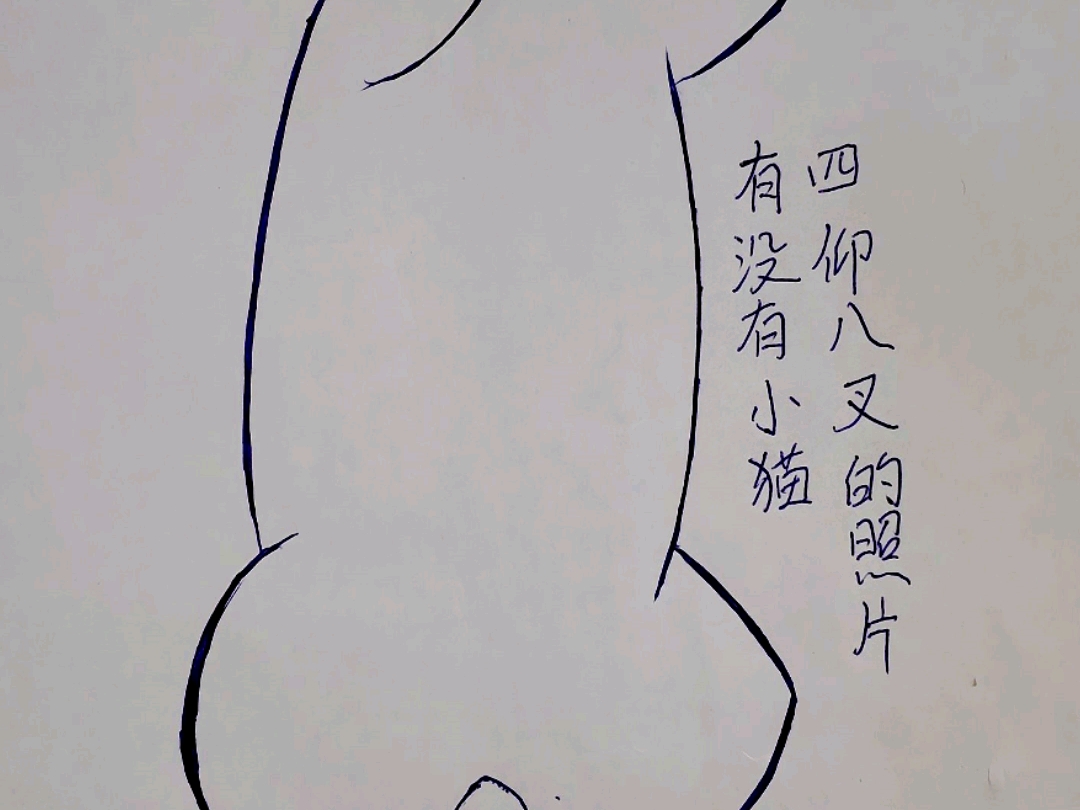 有没有小猫四仰八叉的照片,发来看看