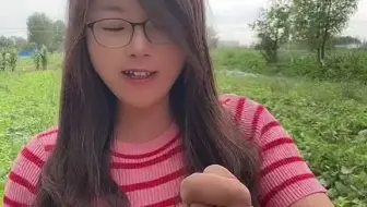 【大学生返乡】前几天民勤这边下了一场大雨，地里好多瓜瓜都裂口了，农民们卖不了💰，只能喂猪羊，今天瓜农叔叔送了我一个瓜，打开后真的超级好