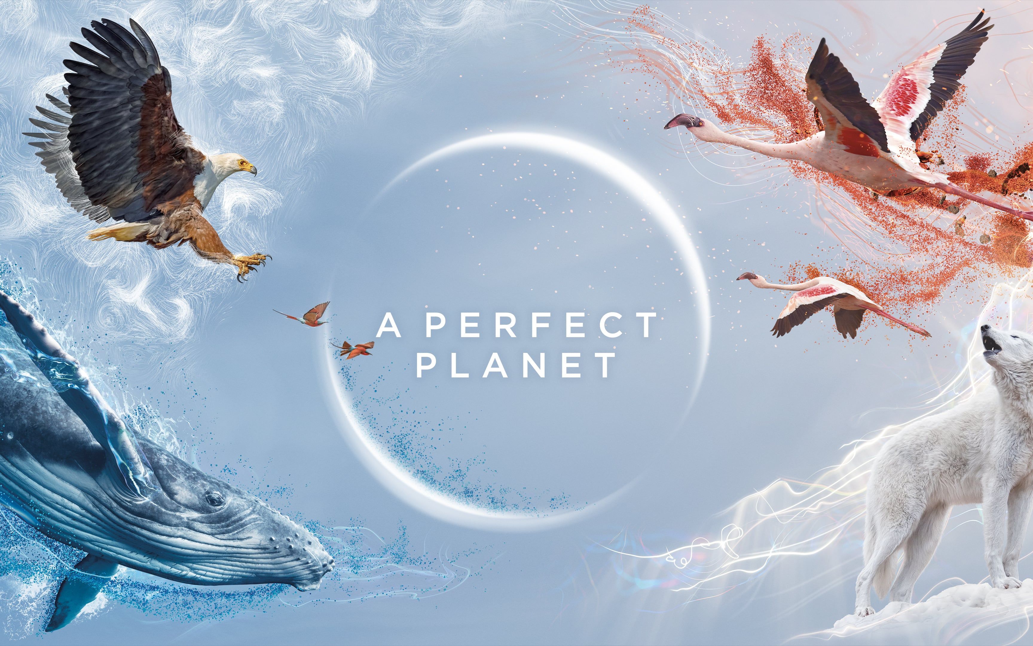 完美星球aperfectplanet2021大卫爱登堡纪录片