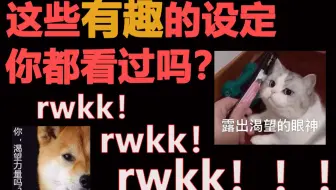 【半碗】这些有趣的设定真的超级好！吃！呢！