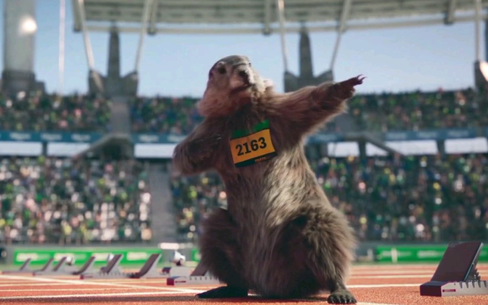 活动作品土拨鼠运动会