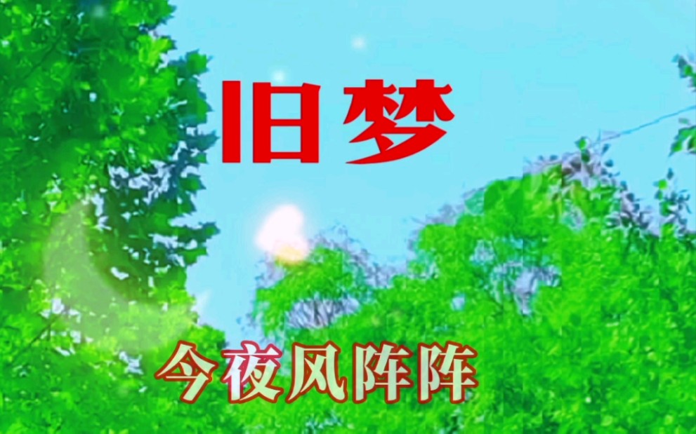 热门歌曲《旧梦》,愿人人都能好梦成真哔哩哔哩bilibili