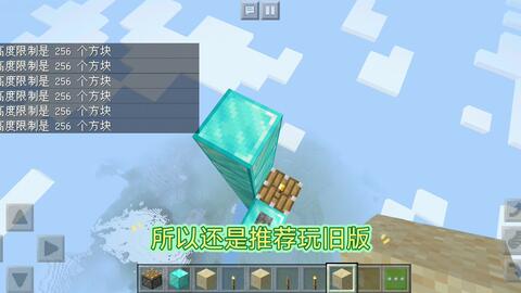 1 17大更新 原版能突破256高度限制 哔哩哔哩 Bilibili