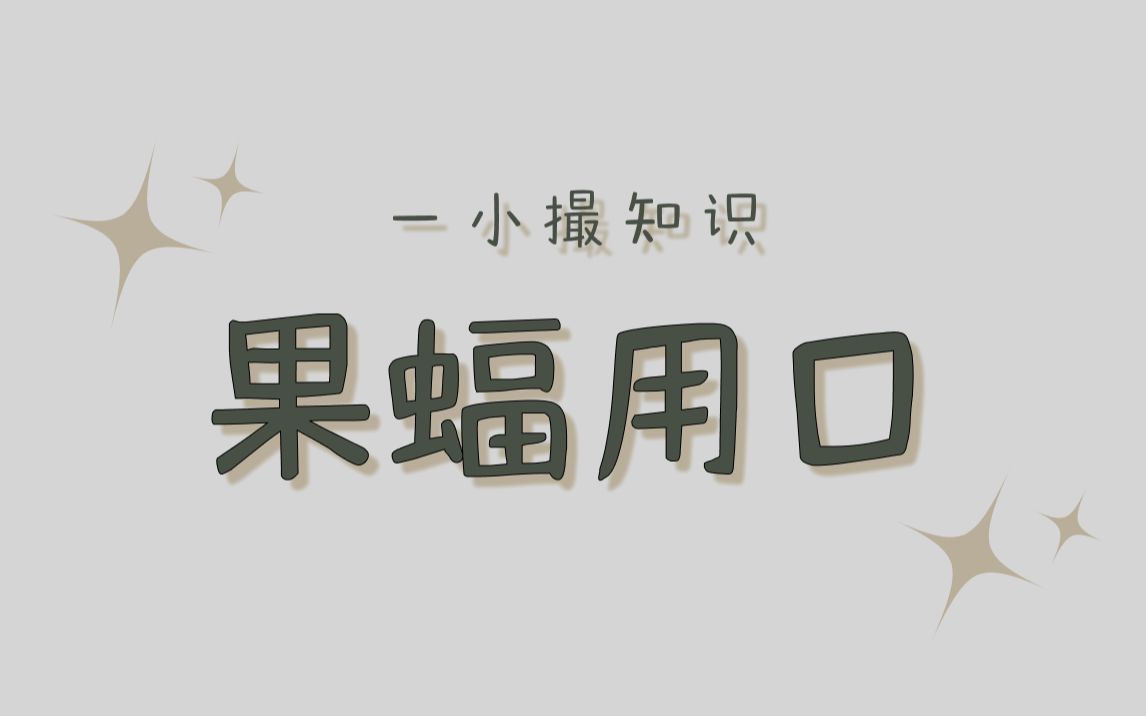 短鼻果蝠会用口来提高伴侣交合时间哔哩哔哩bilibili