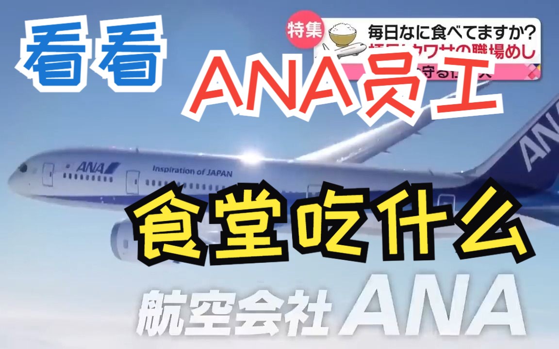 【日本各公司食堂系列】生肉预警 看看ANA员工们早中晚都吃什么哔哩哔哩bilibili