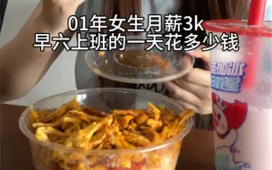 Скачать видео: 00后女生上班一天花销，吃大份手撕鸡饭，美味！