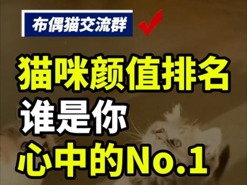 猫咪颜值排行榜,快看看你家小猫上榜了吗?#布偶猫 #布偶猫社群 #杭州布偶猫 #北京布偶猫 #全国布偶猫交流群 #广州布偶猫 #猫咪日常 #猫咪 #可爱猫咪...