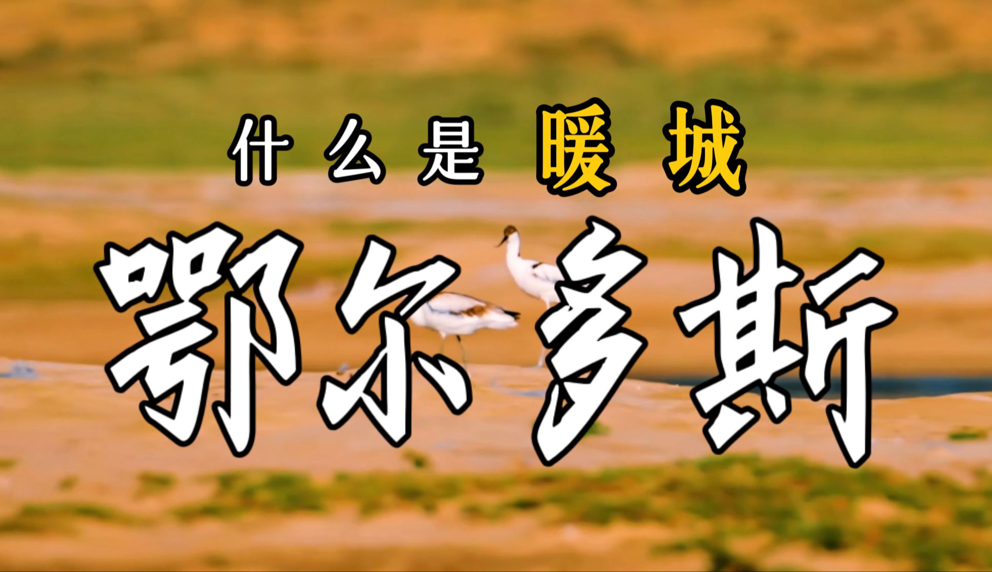 8分钟游遍冬天的鄂尔多斯:人均GDP排名第一的“暖城”,冬天暖不暖?【白游记】哔哩哔哩bilibili